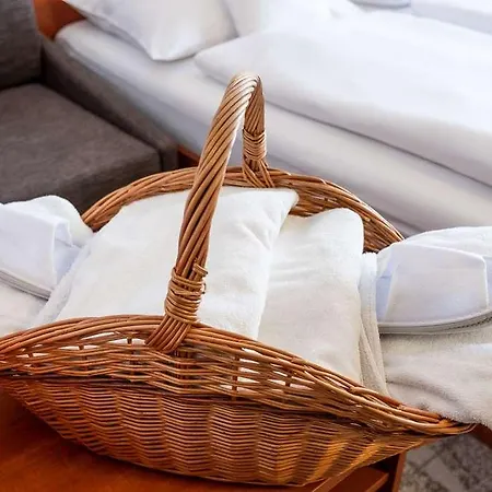 Hotel Pinia & 4*