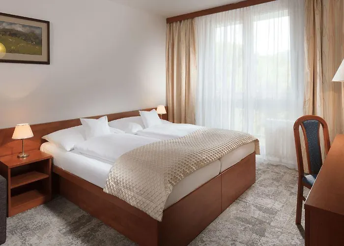 Pinia & Hotel
